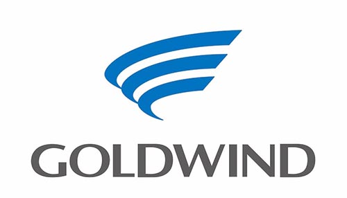Goldwin Logo